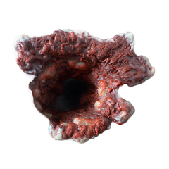 Wound Packing Trainer (Gunshot in a Box)  [TC-WPT]